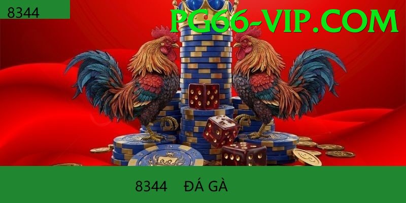 Đá Gà Trực Tiếp - pg66 - Cài đặt